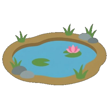 Environment